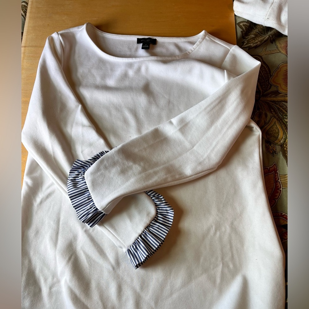 Ann Taylor shirt